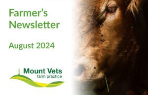 August 2024 Farmers Newsletter | Mount Farm Vets